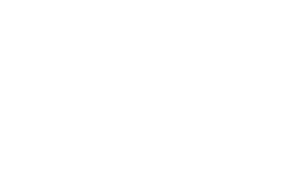 Chicago Travel & Tours