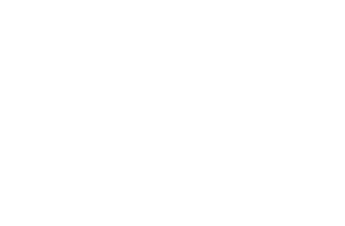 Chicago Travel & Tours