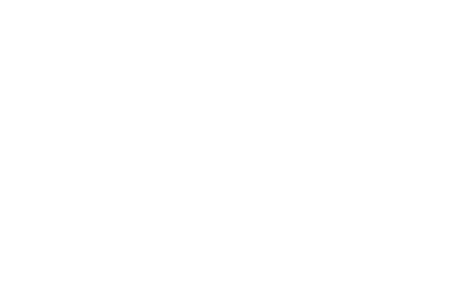 Chicago Travel & Tours